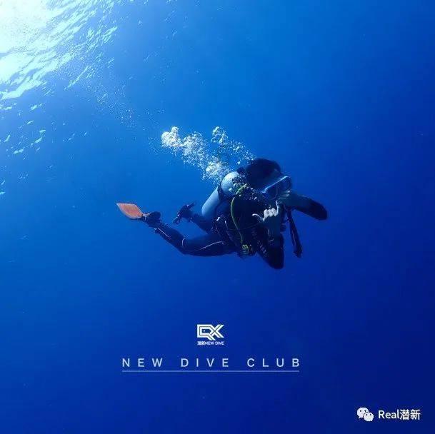观网测评丨福特蒙迪欧E-混动版,百公里油耗只要0.3元?